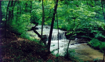 Charged Full Ripping Stream